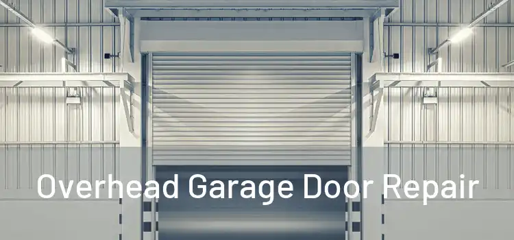  Overhead Garage Door Repair 